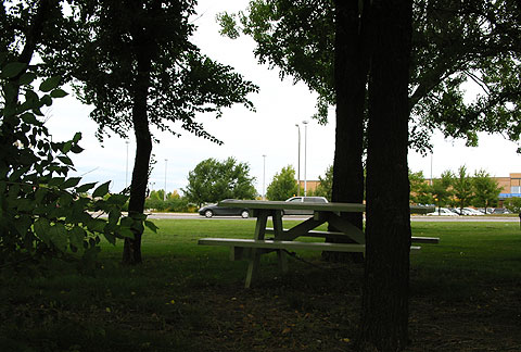 01.jpg