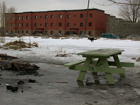 05.jpg