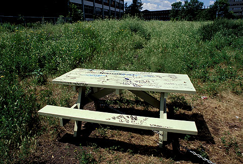 05.jpg