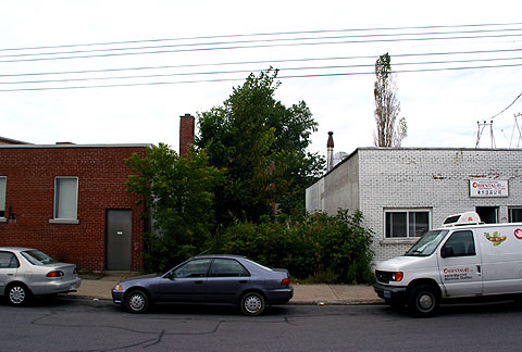 06.jpg