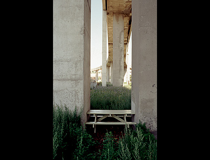 07.jpg